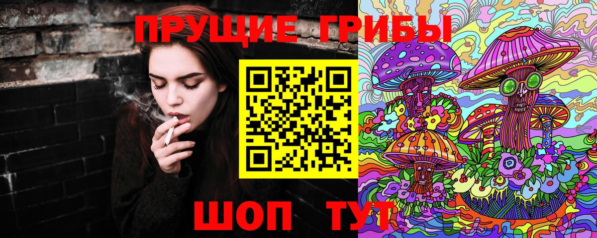 где найти   Псилоцибиновые грибы GOLDEN TEACHER  Вход с VPN  Кудымкар 
